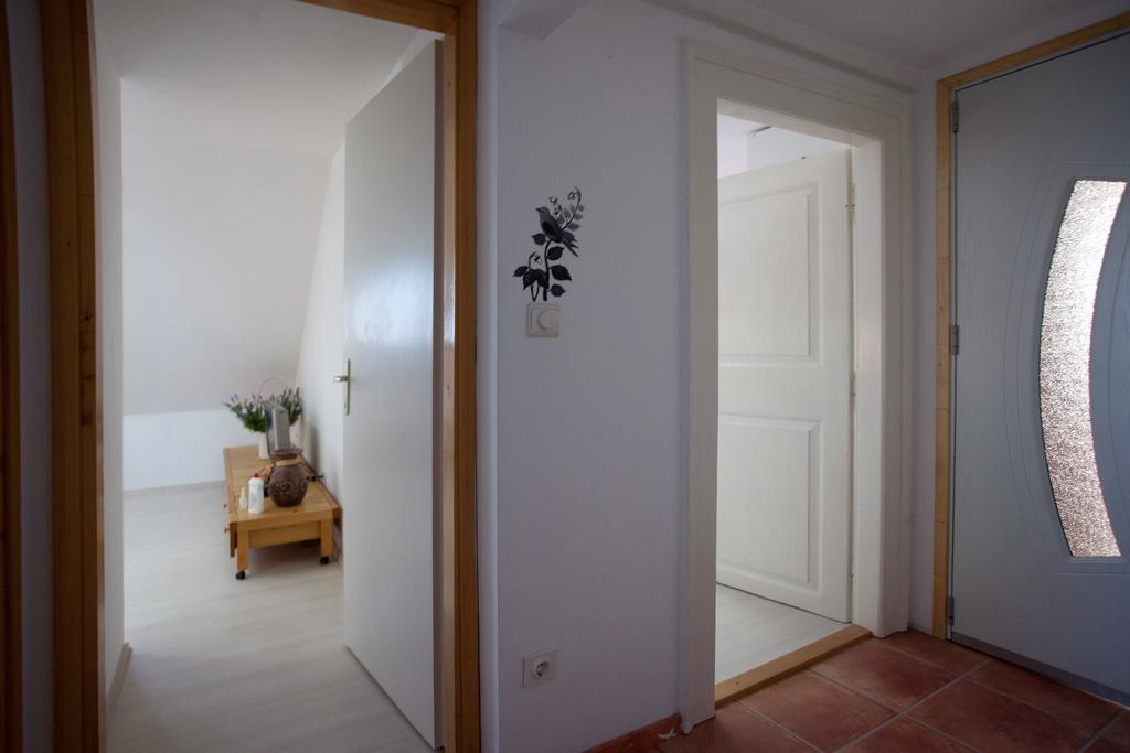 Apartments Antica سبليت المظهر الخارجي الصورة
